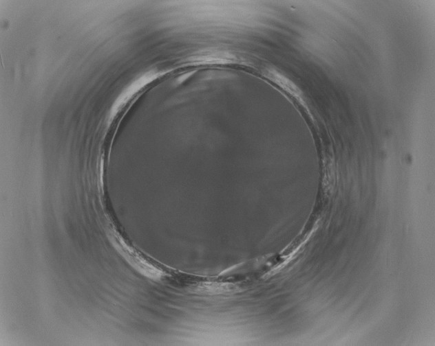 X0000060791179200511241837