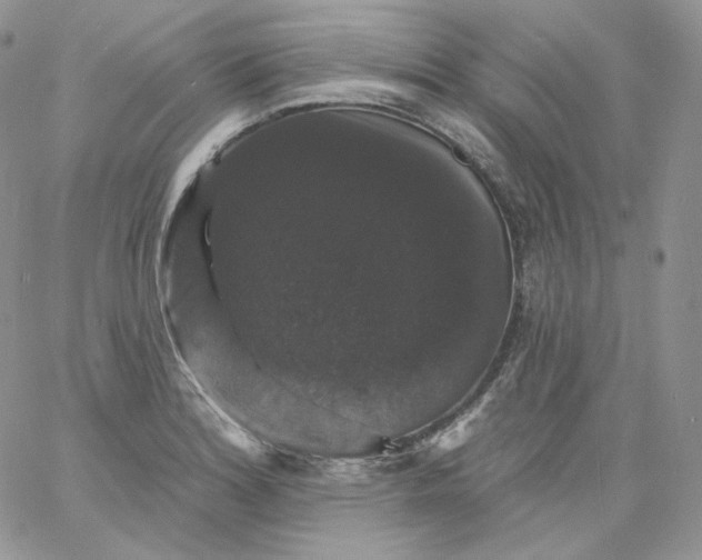 X0000060791180200511241837