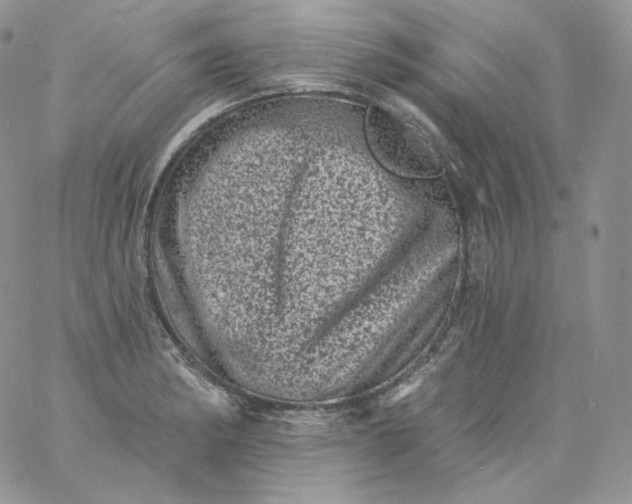 X0000060791182200511241837