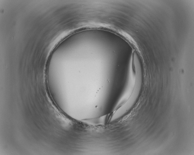 X0000060791183200511241837