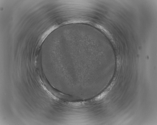 X0000060791185200511241837