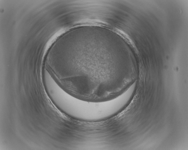 X0000060791188200511241837