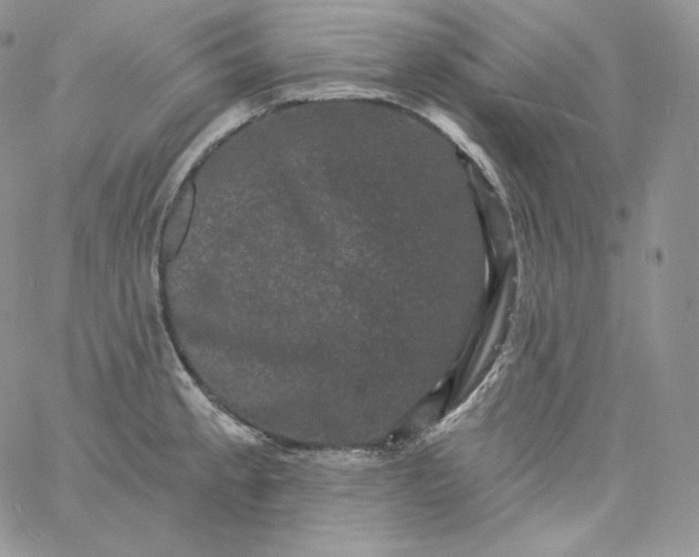 X0000060791189200511241837