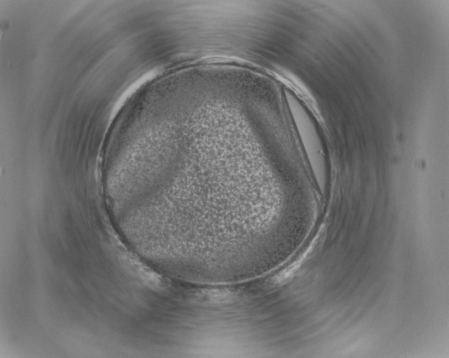 X0000060791190200511241837