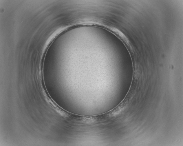 X0000060791191200511241837