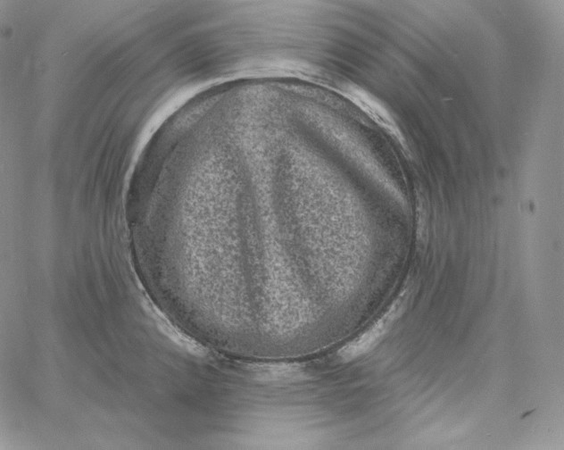 X0000060791192200511241837