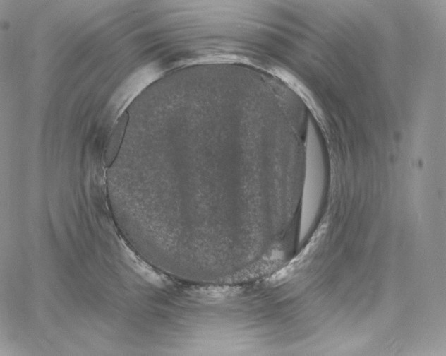 X0000060791193200511241837