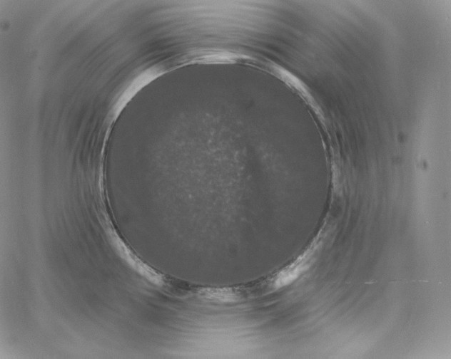 X0000060791194200511241837