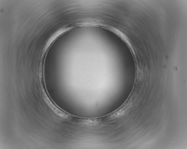 X0000060791195200511241837