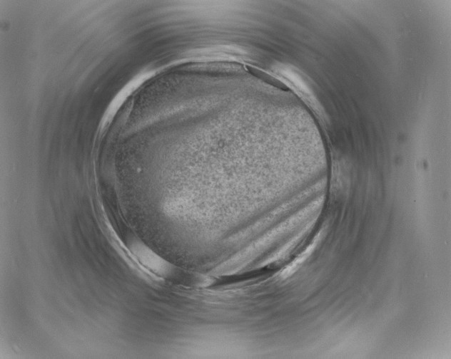 X0000060791196200511241837