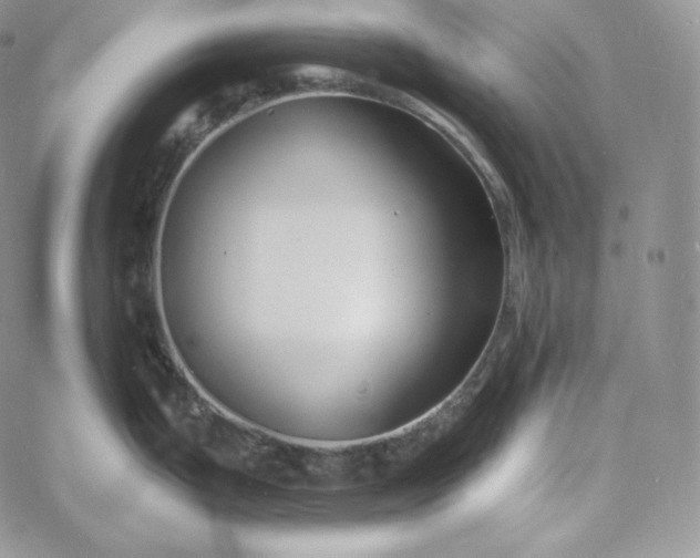 X0000060791199200511241837