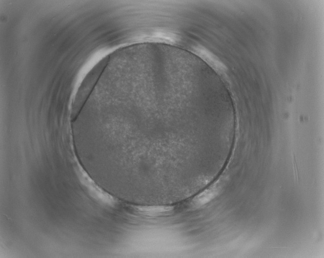 X0000060791200200511241837