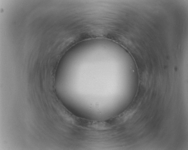 X0000060791201200511241836