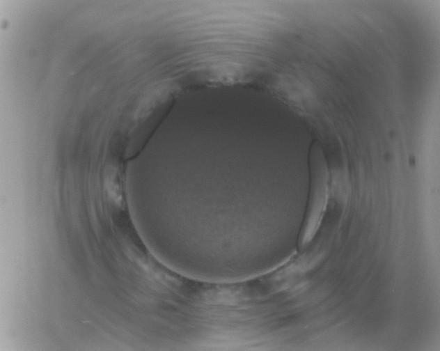 X0000060791202200511241836