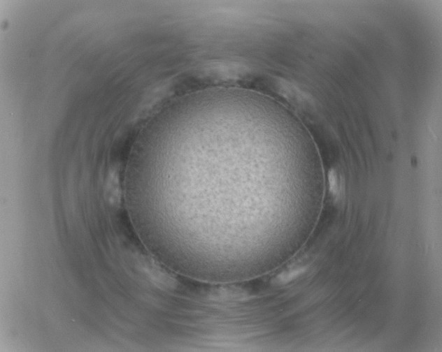 X0000060791203200511241836