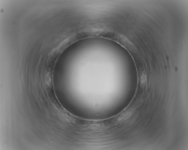 X0000060791204200511241836