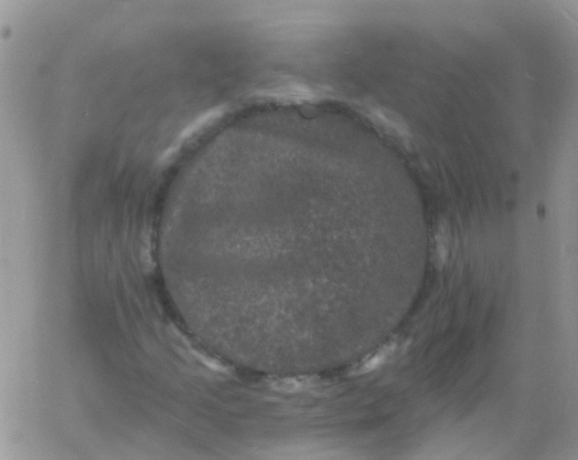 X0000060791205200511241836