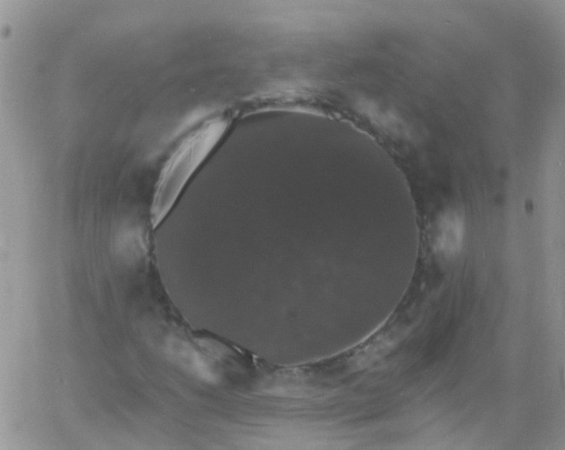 X0000060791206200511241836