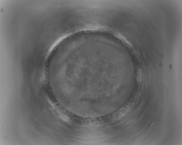 X0000060791208200511241836