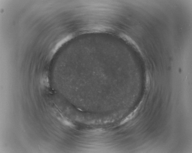 X0000060791210200511241836