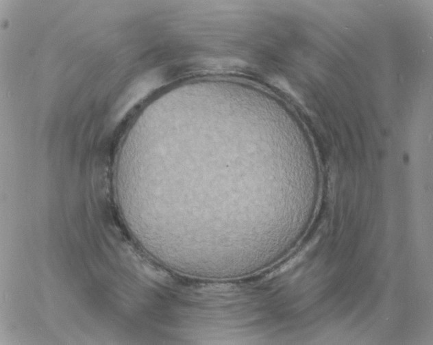 X0000060791211200511241836