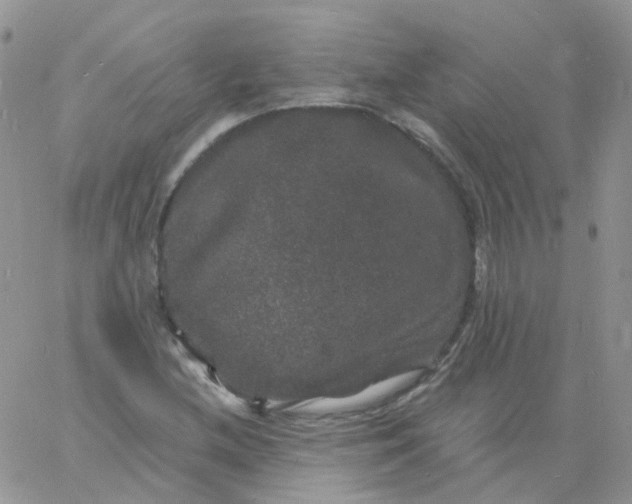 X0000060791212200511241836