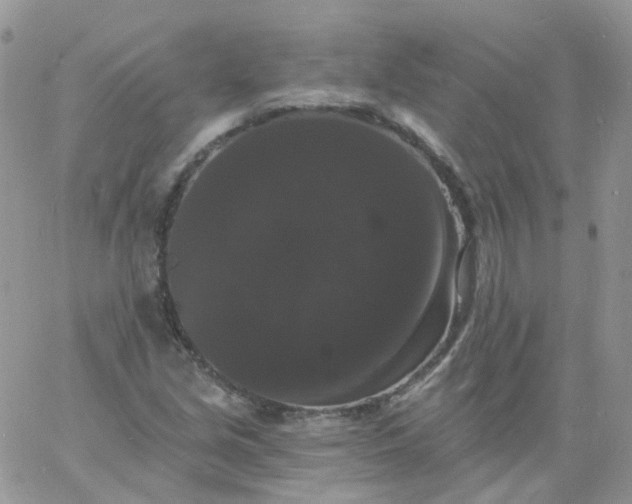 X0000060791213200511241836