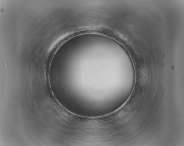 X0000060791214200511241836