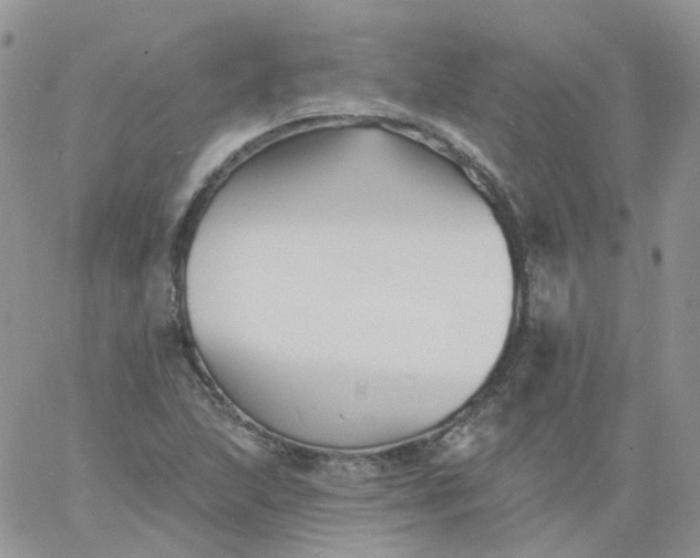 X0000060791215200511241836