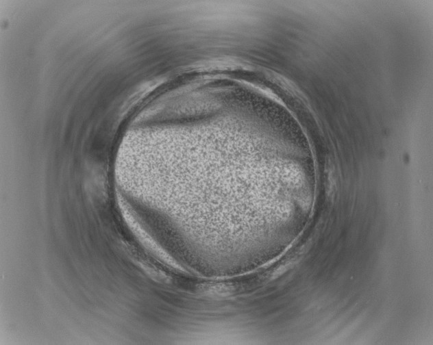 X0000060791217200511241836