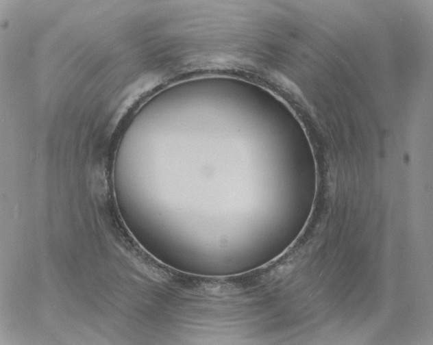 X0000060791218200511241836