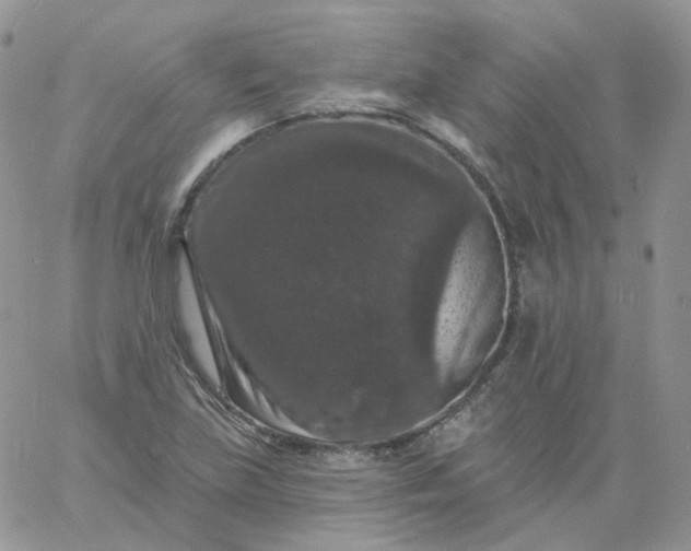 X0000060791219200511241836