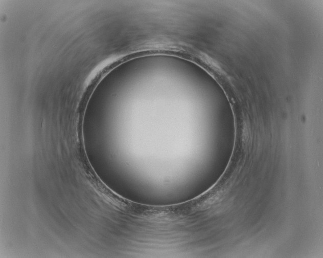 X0000060791222200511241836