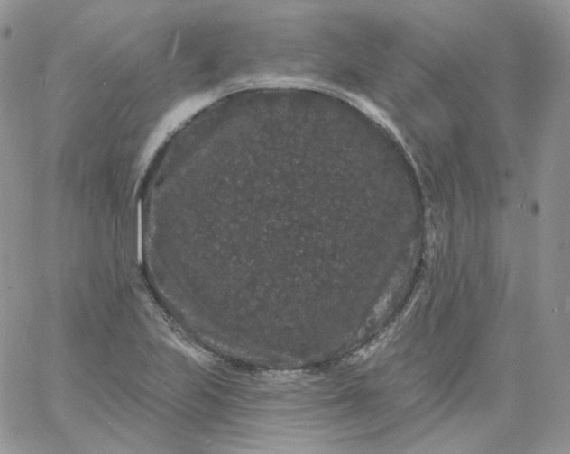 X0000060791223200511241836