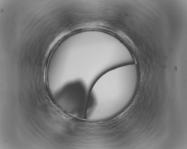 X0000060791224200511241836