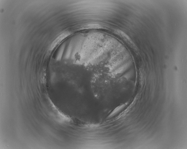 X0000060791225200511241836