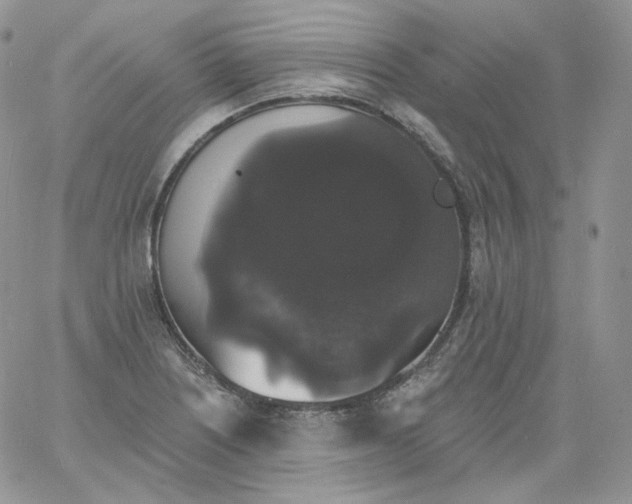 X0000060791226200511241836