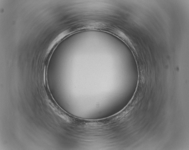 X0000060791227200511241836