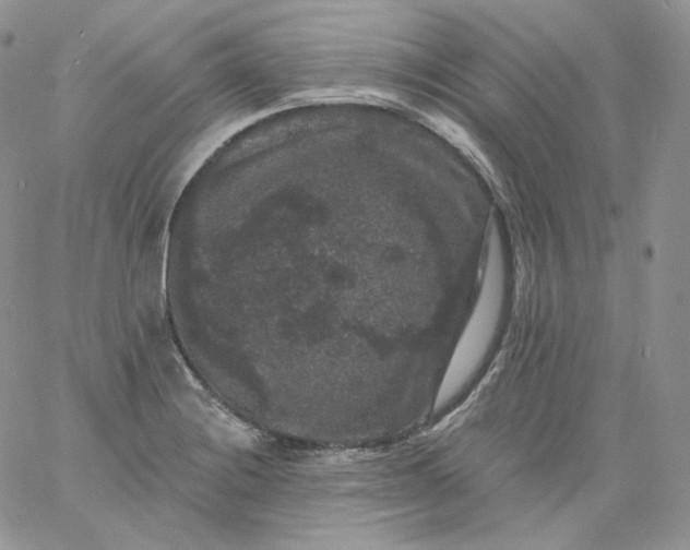 X0000060791228200511241836