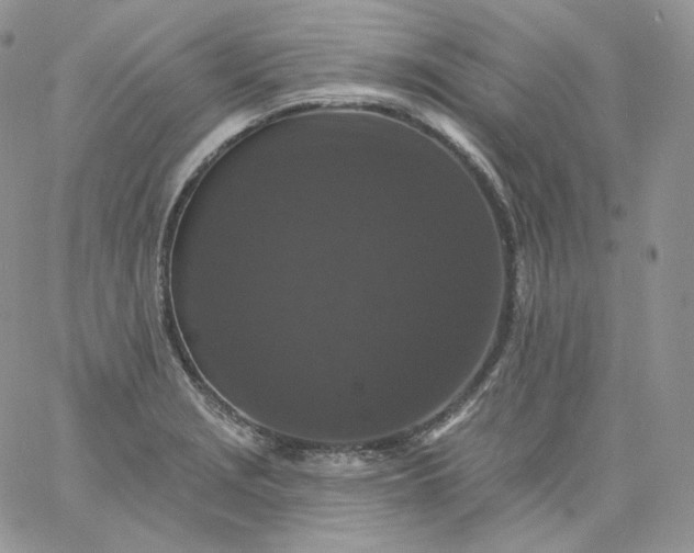 X0000060791229200511241836