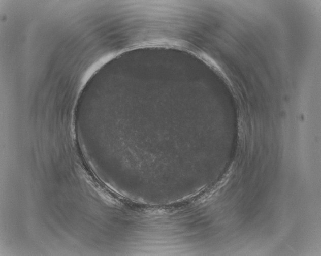 X0000060791230200511241836