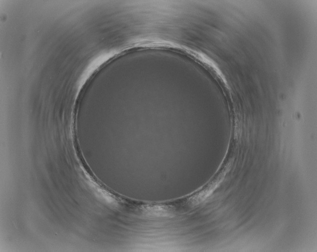 X0000060791231200511241836