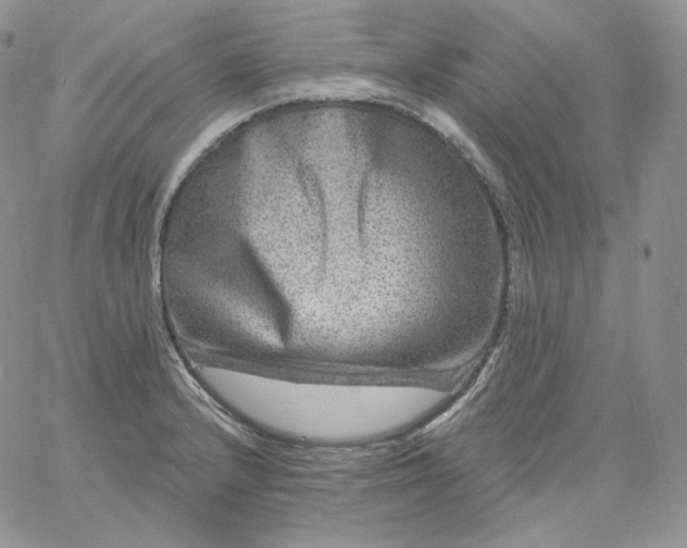 X0000060791232200511241836