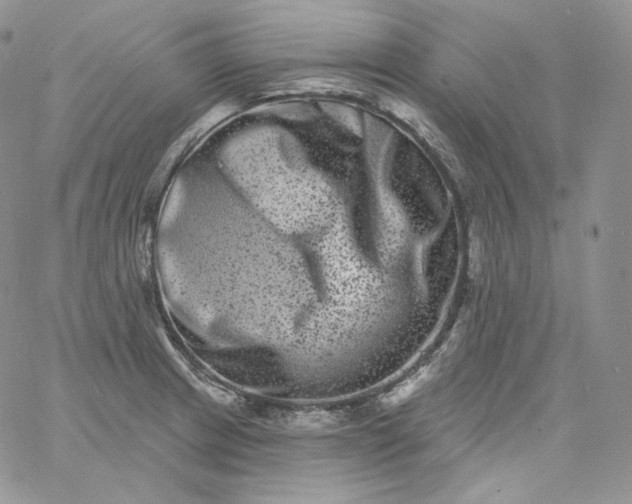 X0000060791233200511241836