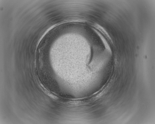 X0000060791236200511241836