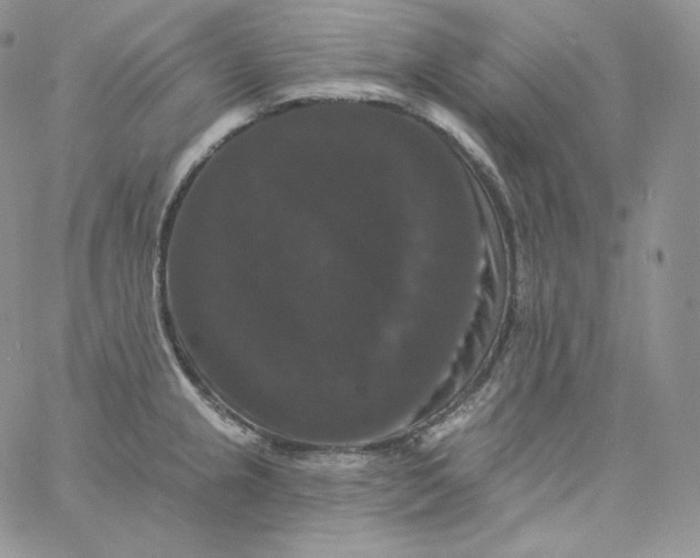 X0000060791237200511241836