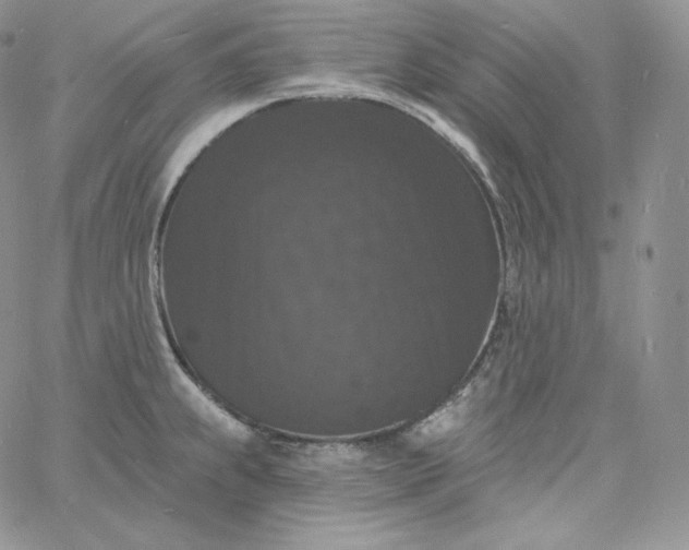 X0000060791239200511241836