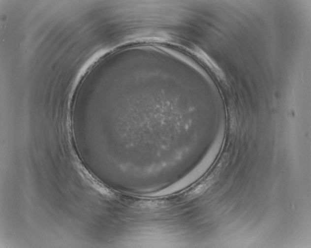 X0000060791240200511241836