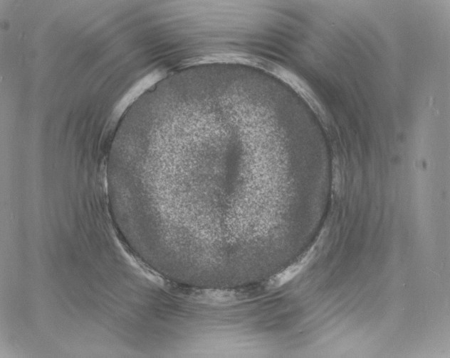 X0000060791241200511241836