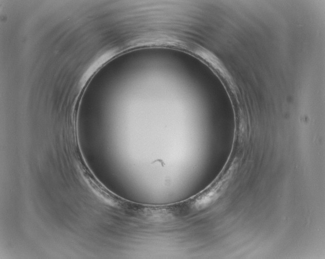 X0000060791242200511241836